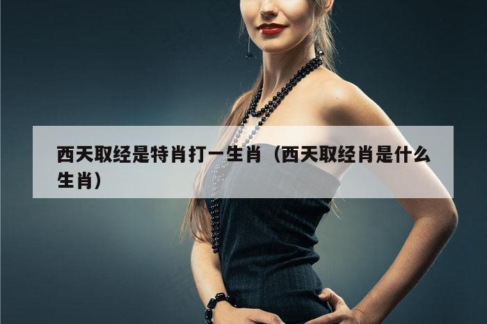 西天取经是特肖打一生肖（西天取经肖是什么生肖）