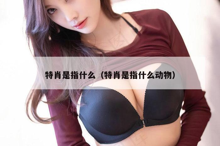 特肖是指什么（特肖是指什么动物）